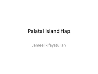 Palatal island flap
Jameel kifayatullah
 