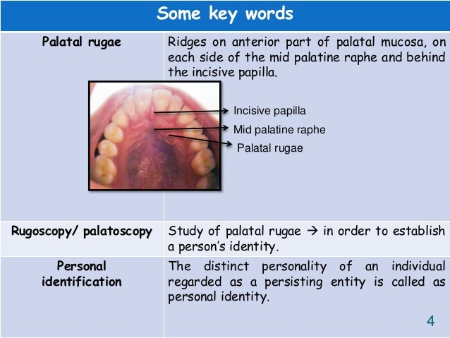 Palatal rugae as an aid for personnel identification