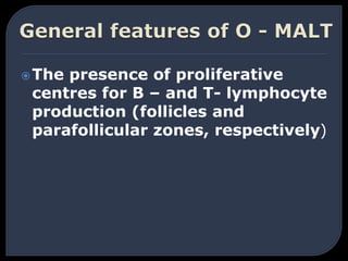 The presence of proliferative
centres for B – and T- lymphocyte
production (follicles and
parafollicular zones, respectively)
 