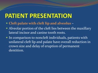 PATIENT PRESENTATION
 Cleft palate with cleft lip and alveolus –
 Alveolar portion of the cleft lies between the maxillary
lateral incisor and canine tooth roots.
 In comparison to noncleft individuals, patients with
unilateral cleft lip and palate have overall reduction in
crown size and delay of eruption of permanent
dentition.
 