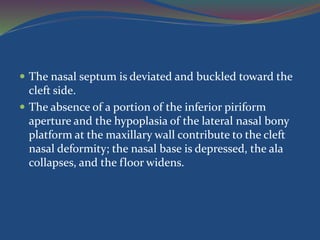  The nasal septum is deviated and buckled toward the
cleft side.
 The absence of a portion of the inferior piriform
aperture and the hypoplasia of the lateral nasal bony
platform at the maxillary wall contribute to the cleft
nasal deformity; the nasal base is depressed, the ala
collapses, and the floor widens.
 