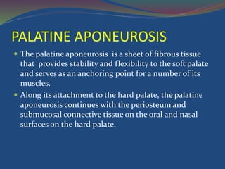 PALATINE APONEUROSIS
 The palatine aponeurosis is a sheet of fibrous tissue
that provides stability and flexibility to the soft palate
and serves as an anchoring point for a number of its
muscles.
 Along its attachment to the hard palate, the palatine
aponeurosis continues with the periosteum and
submucosal connective tissue on the oral and nasal
surfaces on the hard palate.
 