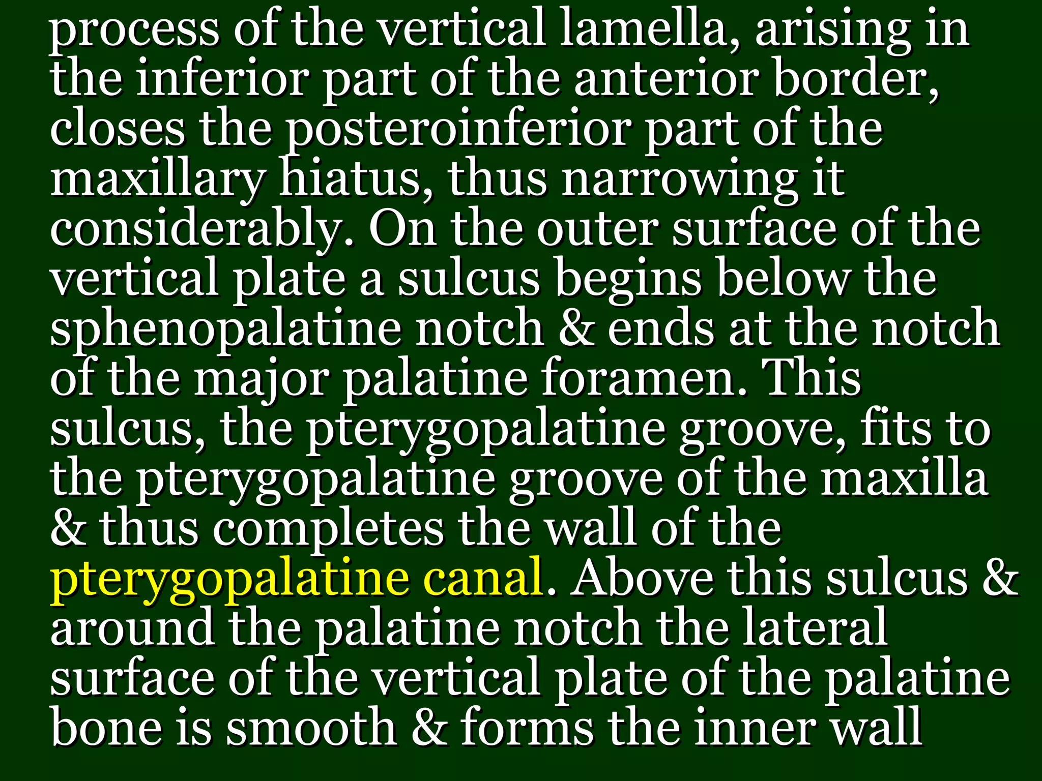 process of the vertical lamella, arising inprocess of the vertical lamella, arising in
the inferior part of the anterior border,the inferior part of the anterior border,
closes the posteroinferior part of thecloses the posteroinferior part of the
maxillary hiatus, thus narrowing itmaxillary hiatus, thus narrowing it
considerably. On the outer surface of theconsiderably. On the outer surface of the
vertical plate a sulcus begins below thevertical plate a sulcus begins below the
sphenopalatine notch & ends at the notchsphenopalatine notch & ends at the notch
of the major palatine foramen. Thisof the major palatine foramen. This
sulcus, the pterygopalatine groove, fits tosulcus, the pterygopalatine groove, fits to
the pterygopalatine groove of the maxillathe pterygopalatine groove of the maxilla
& thus completes the wall of the& thus completes the wall of the
pterygopalatine canalpterygopalatine canal. Above this sulcus &. Above this sulcus &
around the palatine notch the lateralaround the palatine notch the lateral
surface of the vertical plate of the palatinesurface of the vertical plate of the palatine
bone is smooth & forms the inner wallbone is smooth & forms the inner wall
 