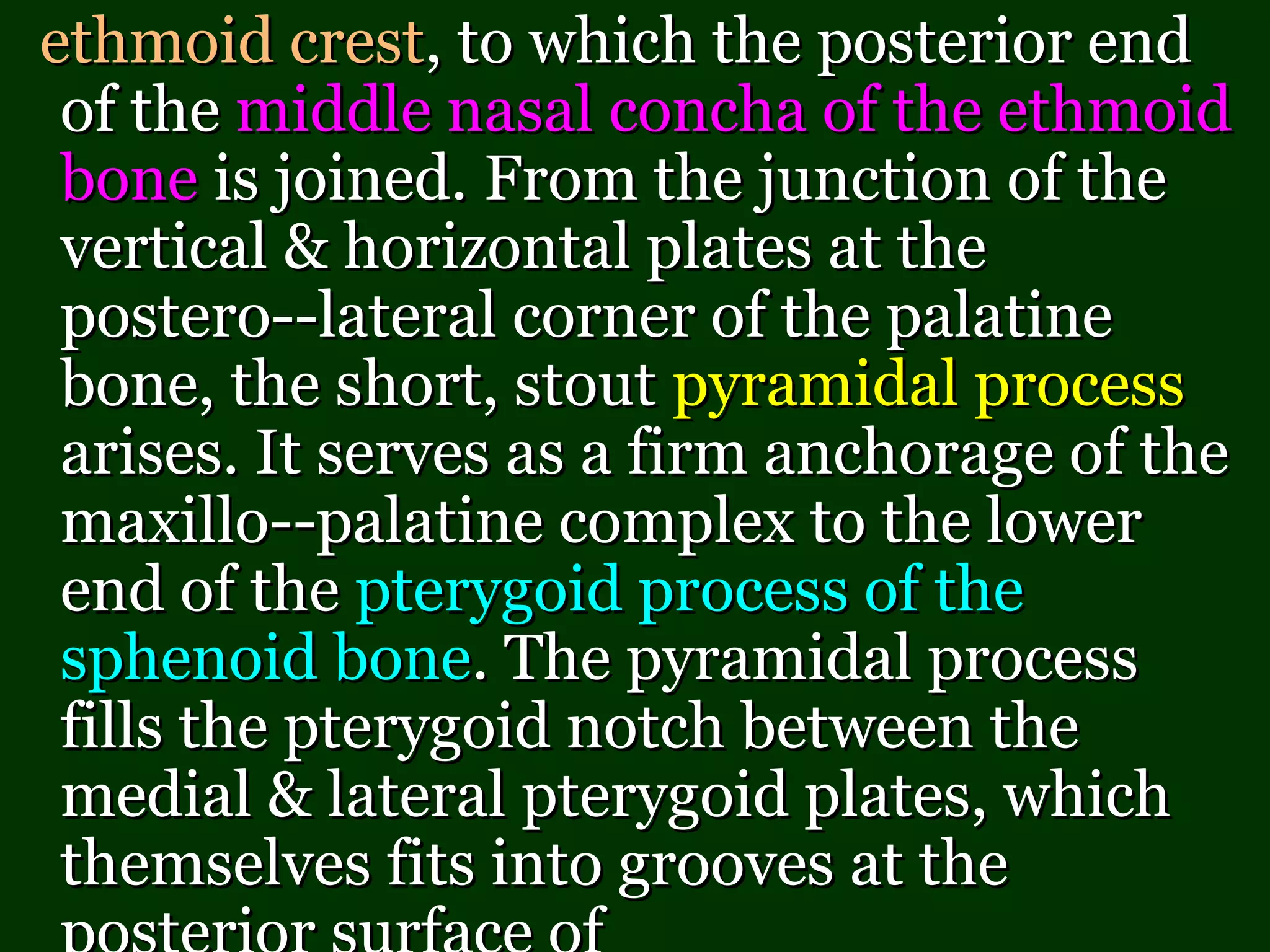 ethmoid crestethmoid crest, to which the posterior end, to which the posterior end
of theof the middle nasal concha of the ethmoidmiddle nasal concha of the ethmoid
bonebone is joined.is joined. From the junction of theFrom the junction of the
vertical & horizontal plates at thevertical & horizontal plates at the
postero--lateral corner of the palatinepostero--lateral corner of the palatine
bone, the short, stoutbone, the short, stout pyramidal processpyramidal process
arises. It serves as a firm anchorage of thearises. It serves as a firm anchorage of the
maxillo--palatine complex to the lowermaxillo--palatine complex to the lower
end of theend of the pterygoid process of thepterygoid process of the
sphenoid bonesphenoid bone. The pyramidal process. The pyramidal process
fills the pterygoid notch between thefills the pterygoid notch between the
medial & lateral pterygoid plates, whichmedial & lateral pterygoid plates, which
themselves fits into grooves at thethemselves fits into grooves at the
 