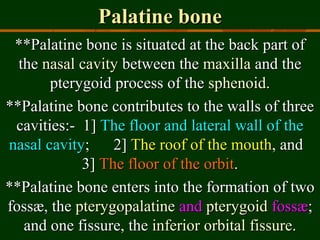 Palatine bonePalatine bone
**Palatine bone is situated at the back part of**Palatine bone is situated at the back part of
thethe nasal cavitynasal cavity between thebetween the maxillamaxilla and theand the
pterygoid process of thepterygoid process of the sphenoidsphenoid..
**Palatine bone contributes to the walls of three**Palatine bone contributes to the walls of three
cavities:- 1]cavities:- 1] The floor and lateral wall of theThe floor and lateral wall of the
nasal cavitynasal cavity; 2]; 2] The roof of the mouthThe roof of the mouth, and, and
3]3] The floor of the orbitThe floor of the orbit..
**Palatine bone enters into the formation of two**Palatine bone enters into the formation of two
fossæ, thefossæ, the pterygopalatinepterygopalatine andand pterygoidpterygoid fossæfossæ;;
and one fissure, theand one fissure, the inferior orbital fissureinferior orbital fissure..
 