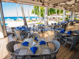 Culinária e Gastronomia
 