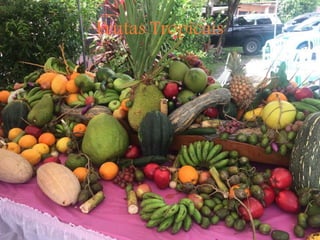Frutas Tropicais
 