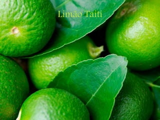 Limão Taiti
 