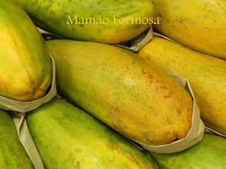 Mamão Formosa
 
