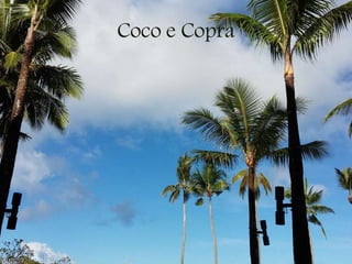 Coco e Copra
 