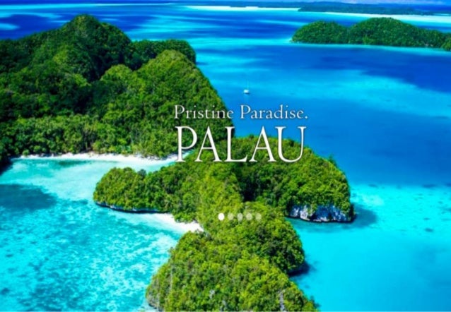 Image result for Pristine Paradise Palau