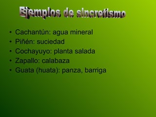•   Cachantún: agua mineral
•   Piñén: suciedad
•   Cochayuyo: planta salada
•   Zapallo: calabaza
•   Guata (huata): panza, barriga
 