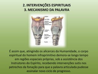 2. INTERVENÇÕES ESPIRITUAIS
           3. MECANISMO DA PALAVRA




É assim que, atingindo os alicerces da Humanidade, o corpo
espiritual do homem infraprimitivo demora-se longo tempo
    em regiões espaciais próprias, sob a assistência dos
 Instrutores do Espírito, recebendo intervenções sutis nos
petrechos da fonação para que a palavra articulada pudesse
              assinalar novo ciclo de progresso.
 
