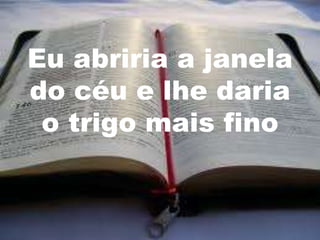 Eu abriria a janela
do céu e lhe daria
 o trigo mais fino
 