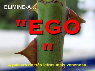 A palavra de três letras mais venenosa... "EGO" ELIMINE-A… 