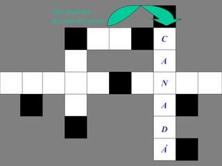 País produtor de cana de açúcar C A N A Á D 