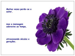 Muitas vezes perde-se o autor, mas a mensagem sobrevive ao tempo, atravessando séculos e gerações.