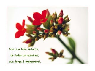 Use-a a todo instante, de todas as maneiras; sua força é imensurável.