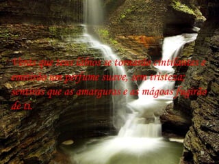 Verás que teus lábios se tornarão cintilantes e emitirão um perfume suave, sem tristeza; sentirás que as amarguras e as mágoas fugirão de ti.  