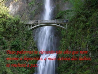 Tuas palavras te elevarão tão alto que nem  mesmo a hipocrisia, a mais astuta das ladras, te roubará a paz. 