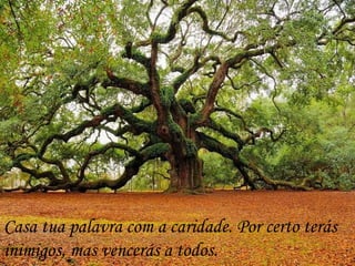 Casa tua palavra com a caridade. Por certo terás inimigos, mas vencerás a todos.  