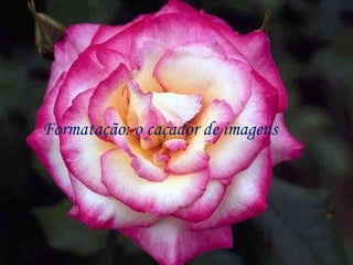 Formatação: o caçador de imagens 