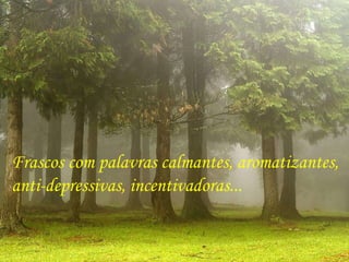 Frascos com palavras calmantes, aromatizantes, anti-depressivas, incentivadoras...  