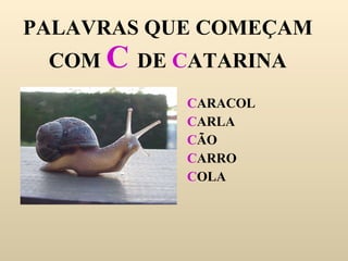 PALAVRAS QUE COMEÇAM COM  C  DE  C ATARINA C ARACOL C ARLA C ÃO C ARRO C OLA 