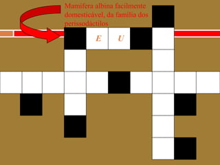 Mamífera albina facilmentedomesticável, da família dosperissodáctilosEU