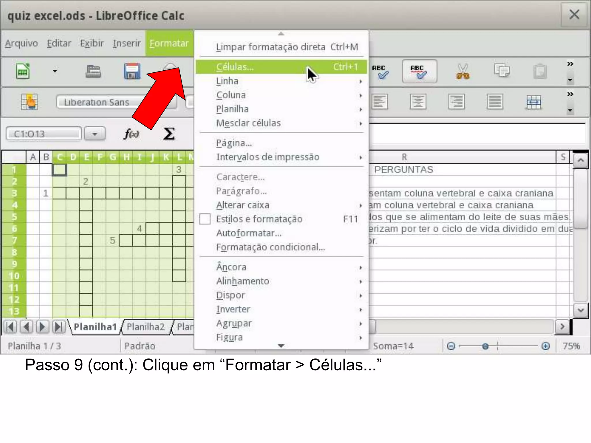 Passo 9 (cont.): Clique em “Formatar > Células...”
 