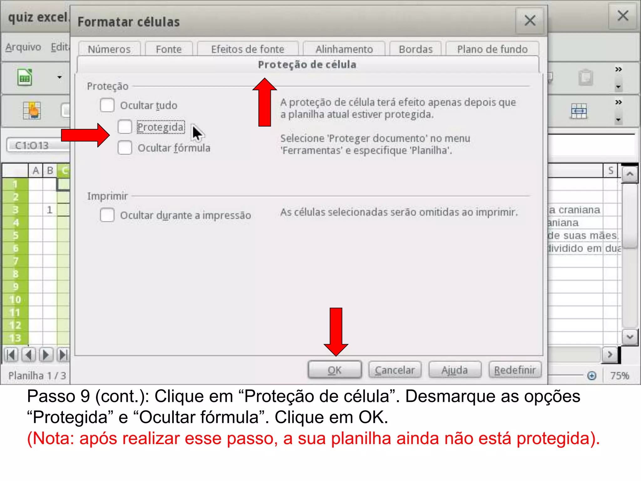 Passo 9 (cont.): Clique em “Proteção de célula”. Desmarque as opções
“Protegida” e “Ocultar fórmula”. Clique em OK.
(Nota: após realizar esse passo, a sua planilha ainda não está protegida).
 