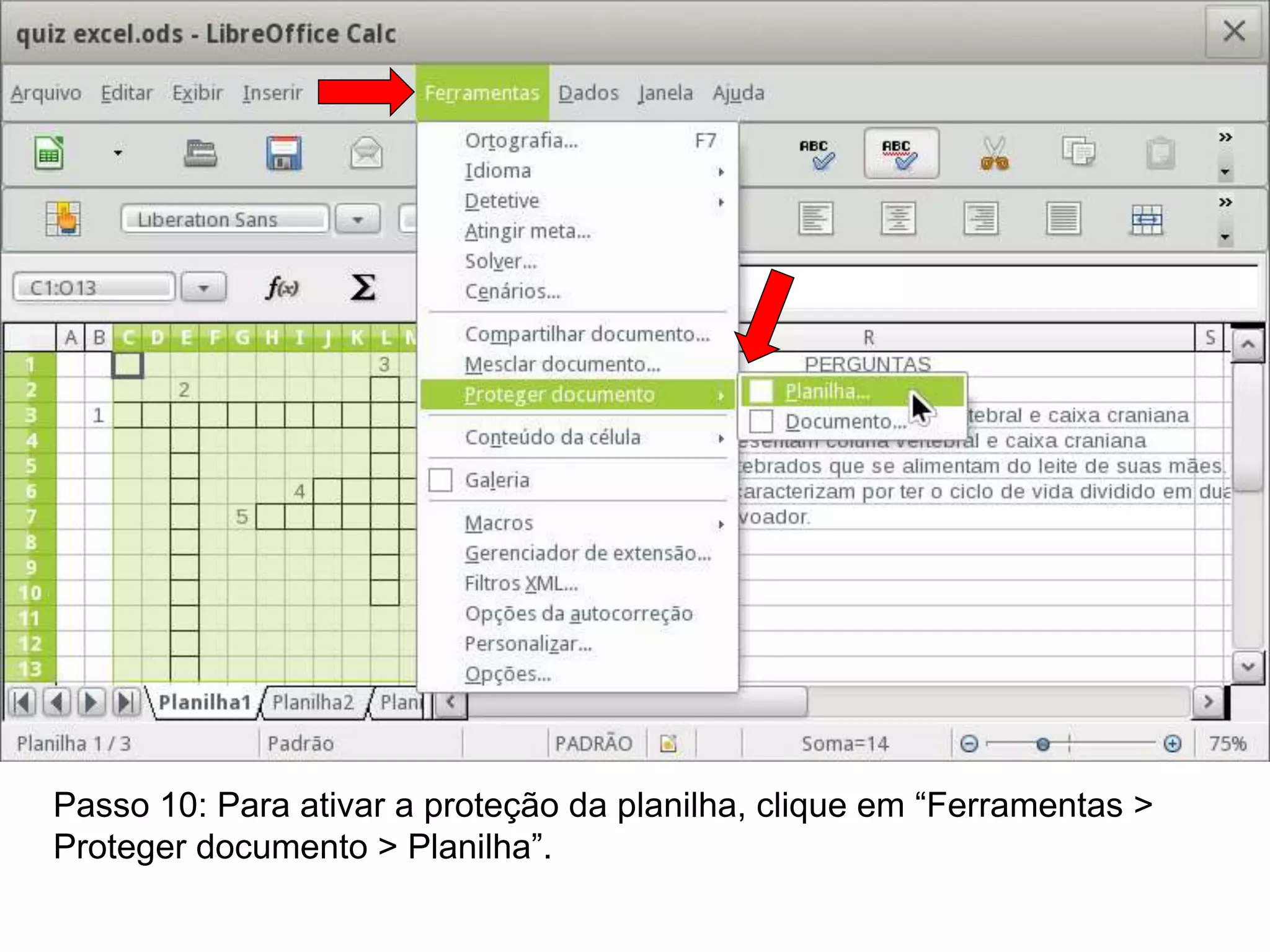 Passo 10: Para ativar a proteção da planilha, clique em “Ferramentas >
Proteger documento > Planilha”.
 