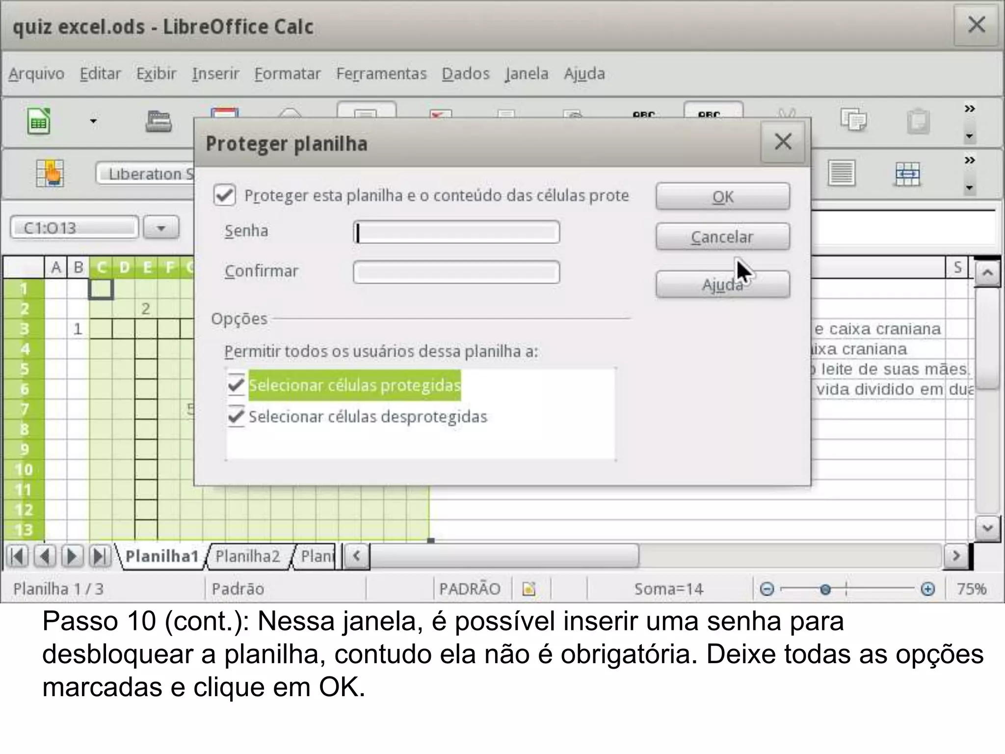 Passo 10 (cont.): Nessa janela, é possível inserir uma senha para
desbloquear a planilha, contudo ela não é obrigatória. Deixe todas as opções
marcadas e clique em OK.
 