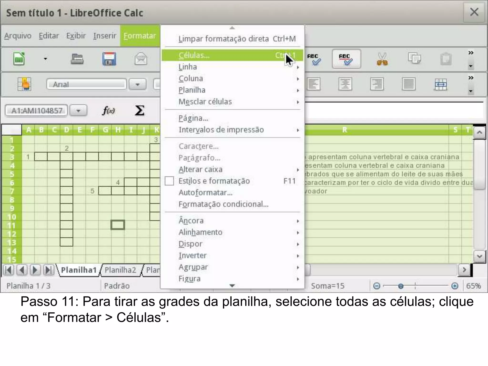 Passo 11: Para tirar as grades da planilha, selecione todas as células; clique
em “Formatar > Células”.
 
