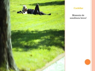 Cochilar Momento de sonolência breve! 