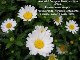 Mas não! Coragem! Deus nos dá a graça. Recomecemos sempre. Perseverando, veremos lentamente o mundo mudar à nossa volta.   