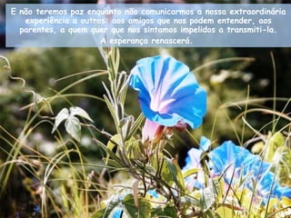 E não teremos paz enquanto não comunicarmos a nossa extraordinária experiência a outros: aos amigos que nos podem entender, aos parentes, a quem quer que nos sintamos impelidos a transmiti-la. A esperança renascerá.   