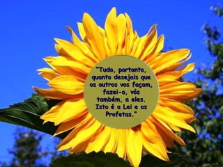 “ Tudo, portanto, quanto desejais que os outros vos façam, fazei-o, vós também, a eles. Isto é a Lei e os Profetas.” 