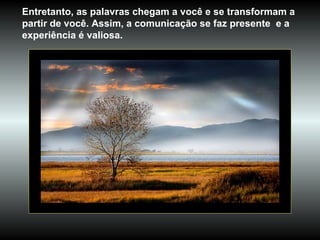 Entretanto, as palavras chegam a você e se transformam a partir de você. Assim, a comunicação se faz presente  e a experiência é valiosa. 