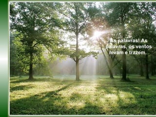 As palavras! As palavras, os ventos levam e trazem. Elas fluem pelo universo. Representam o meu desejo de expressão. As palavras! As palavras, os ventos levam e trazem.  
