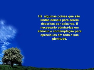 Há  algumas coisas que são  lindas demais para serem descritas por palavras. É necessário admirá-las em silêncio e contemplação para apreciá-las em toda a sua plenitude. 