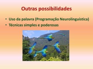 Outras possibilidades
• Uso da palavra (Programação Neurolinguística)
• Técnicas simples e poderosas
 