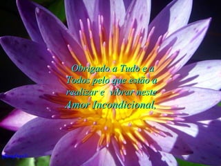 Obrigado a Tudo e a Todos pelo que estão a realizar e  vibrar neste  Amor Incondicional ,   