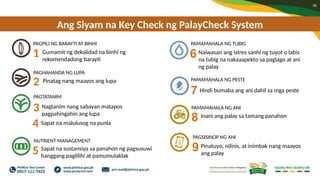 Palaycheck System.pdf PalayCheck Overview final_2021RevEd (Wide - Fil).pptx