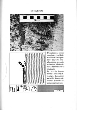 Palazzo capece i
