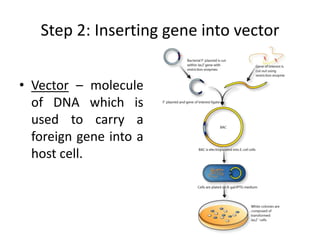 Vector In Genetic Engineering Genetic engineering | PPTX