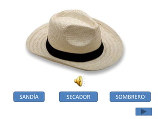 SANDÍA SECADOR SOMBRERO
 