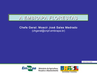 Equipe Embrapa Florestas
Chefe Geral: Moacir José Sales Medrado
(chgeral@cnpf.embrapa.br)
A EMBRAPA FLORESTASA EMBRAPA FLORESTASA EMBRAPA FLORESTASA EMBRAPA FLORESTAS
 
