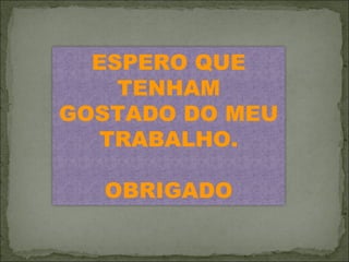 ESPERO QUE TENHAM GOSTADO DO MEU TRABALHO. OBRIGADO 