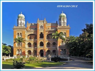 OSWALDO CRUZ
 